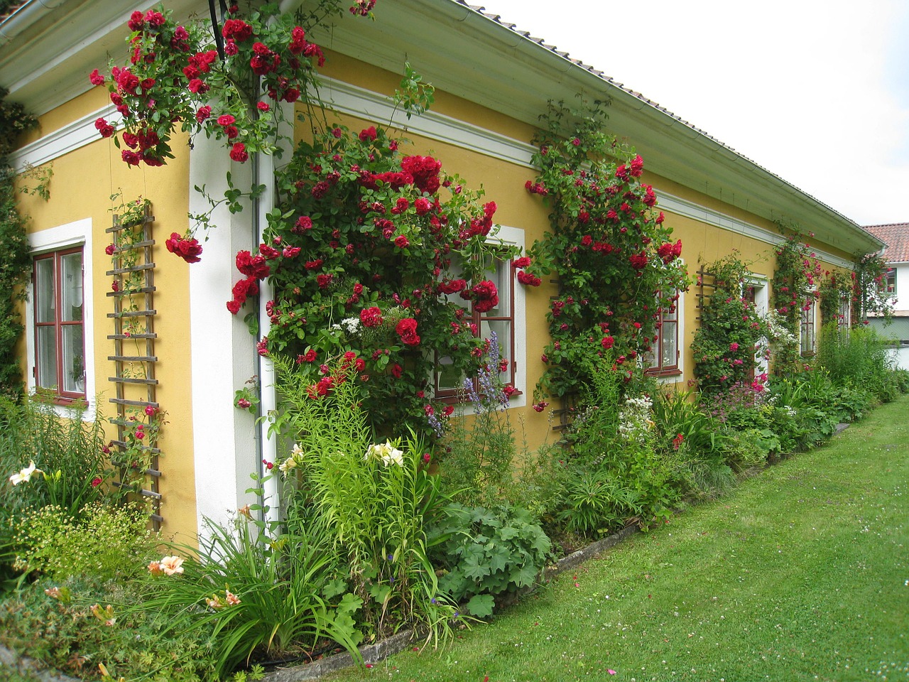 house sweden countryside free photo