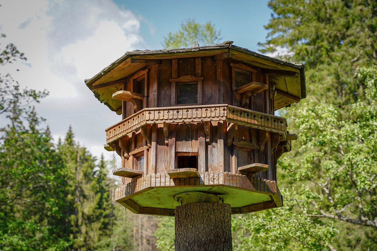 house  cottage  treehouse free photo