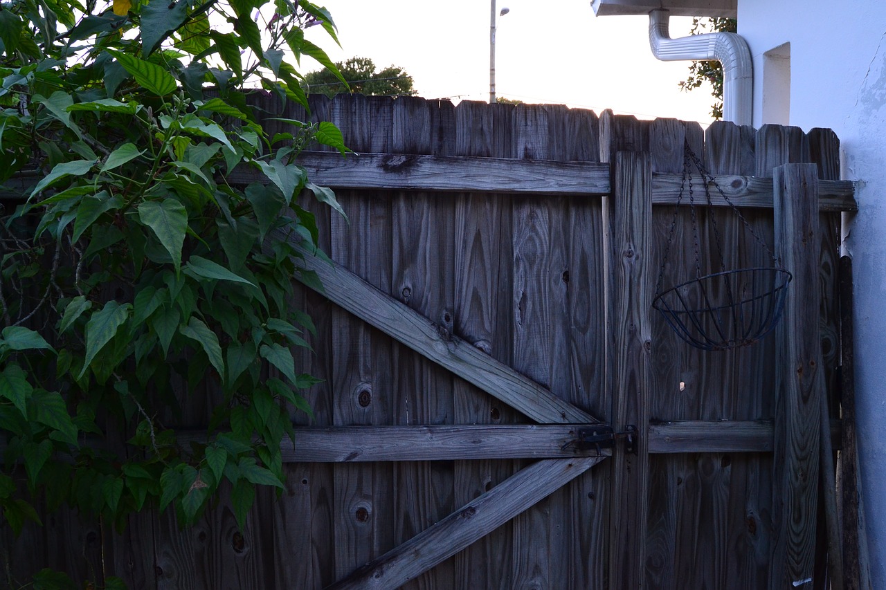 house gate building free photo