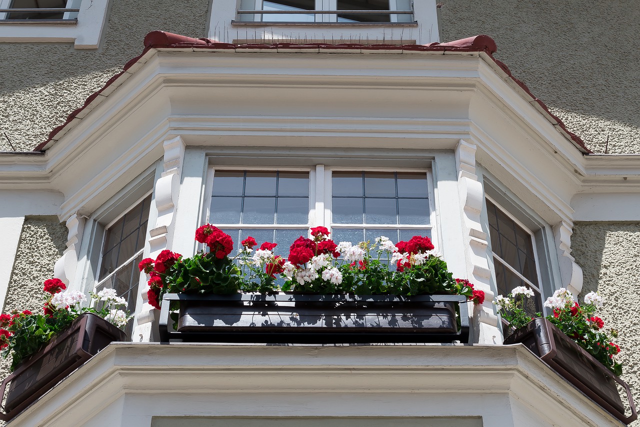 house  bay window  floral decorations free photo