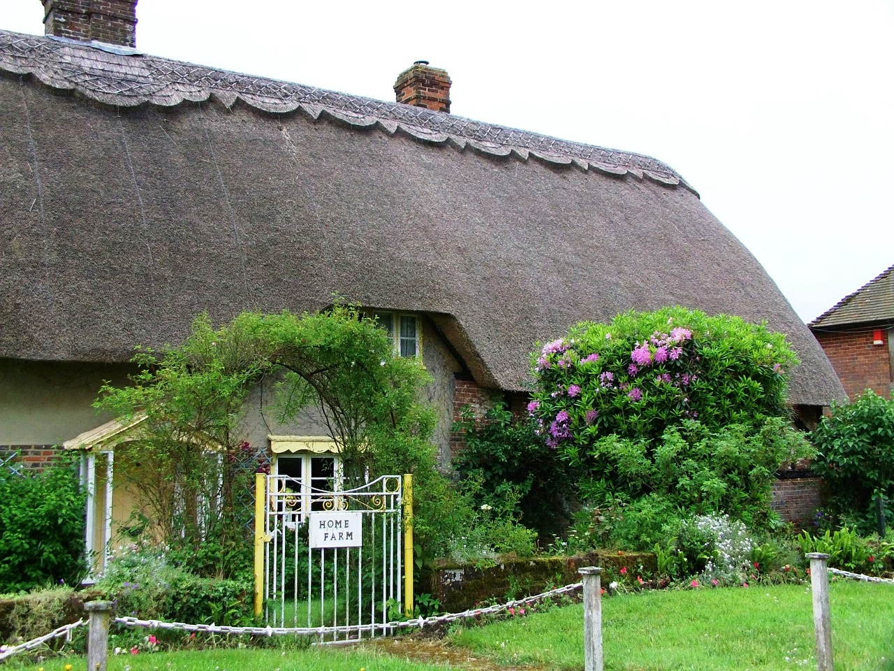 house thatch roof home free photo