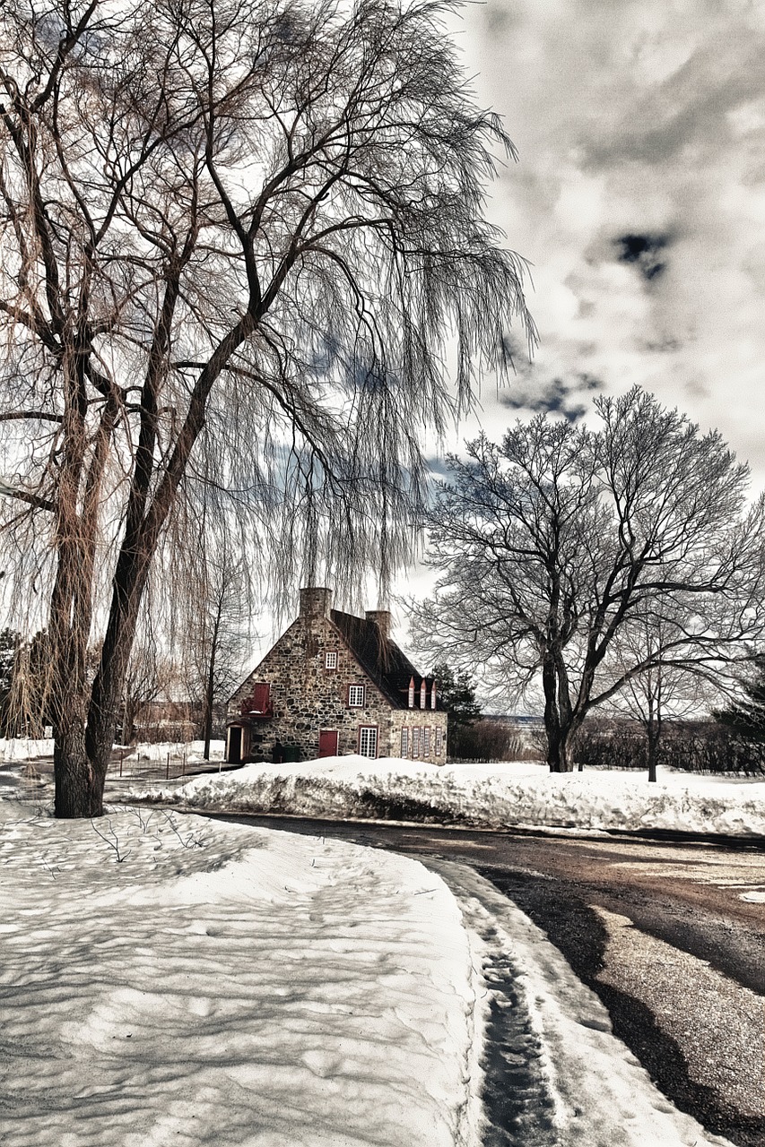 house landscape winter free photo