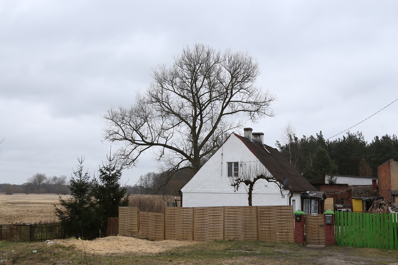 house tree field free photo