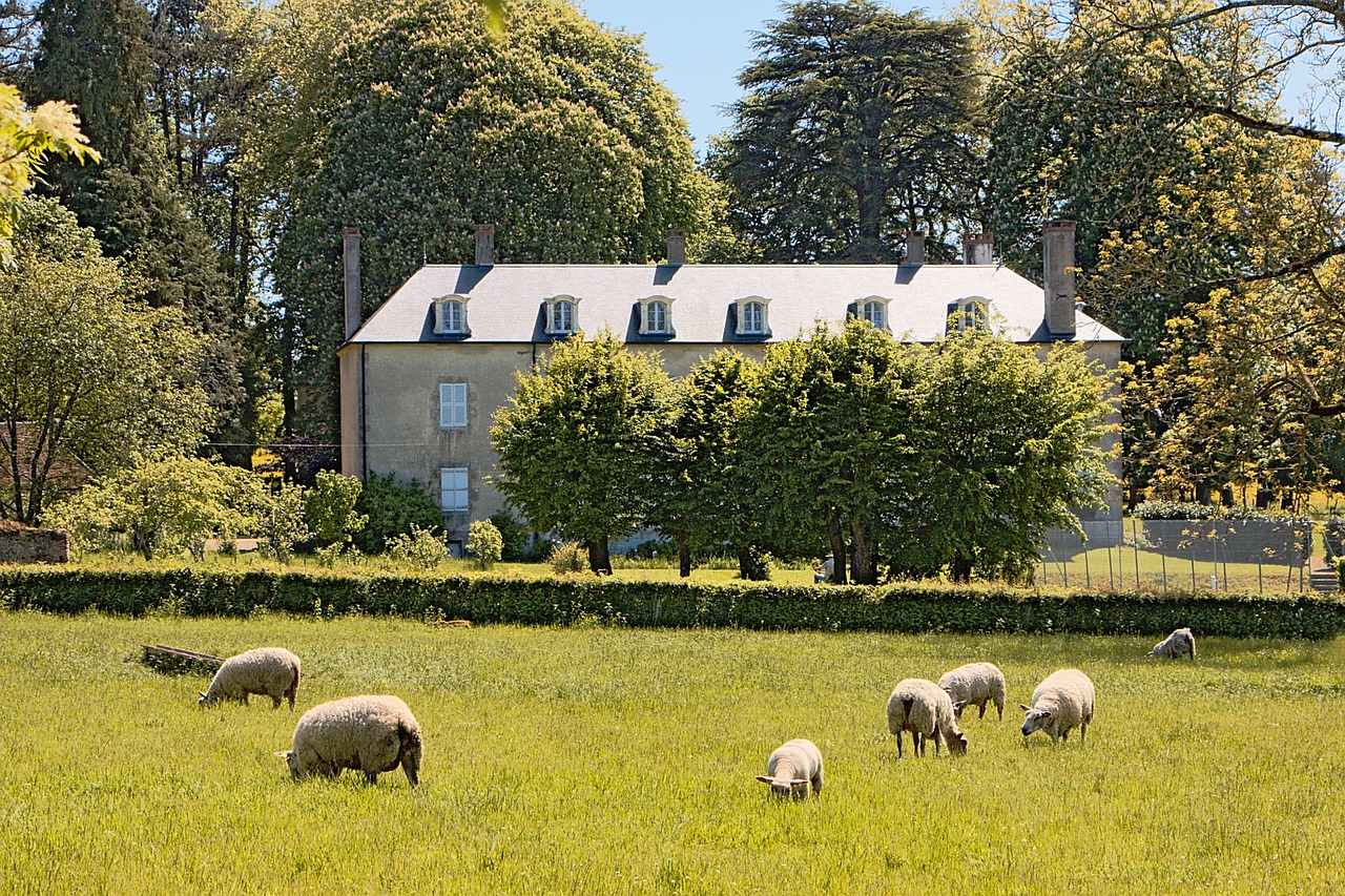 house housing sheep free photo