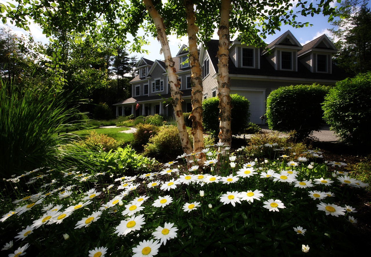 house property landscaping free photo