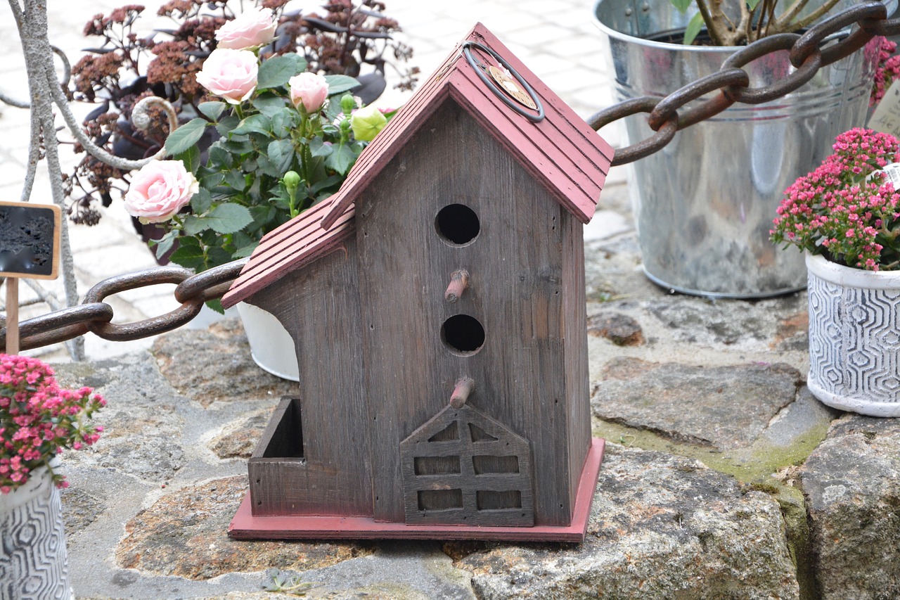 house bird nest nest box free photo