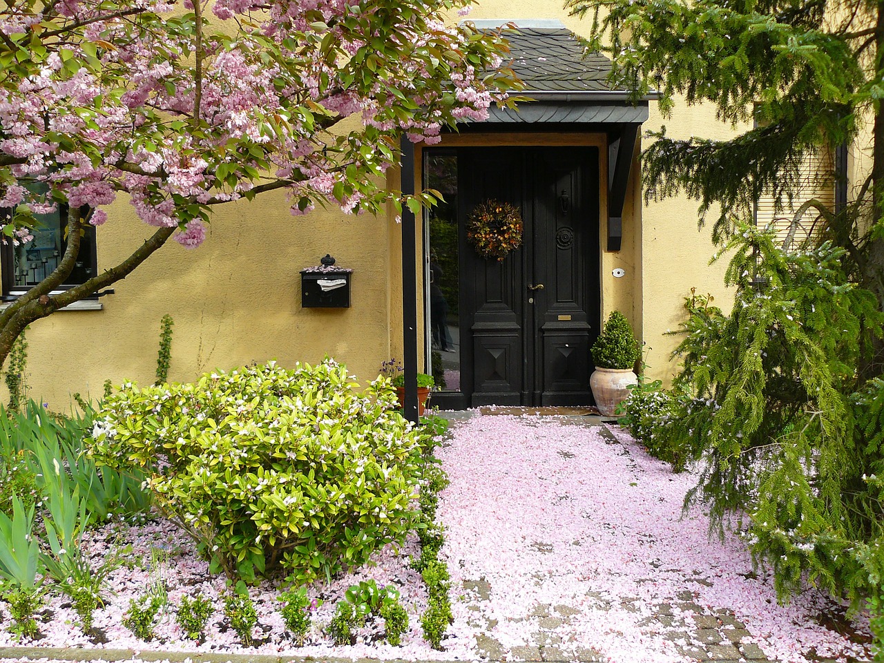 house entrance flowers blossom free photo