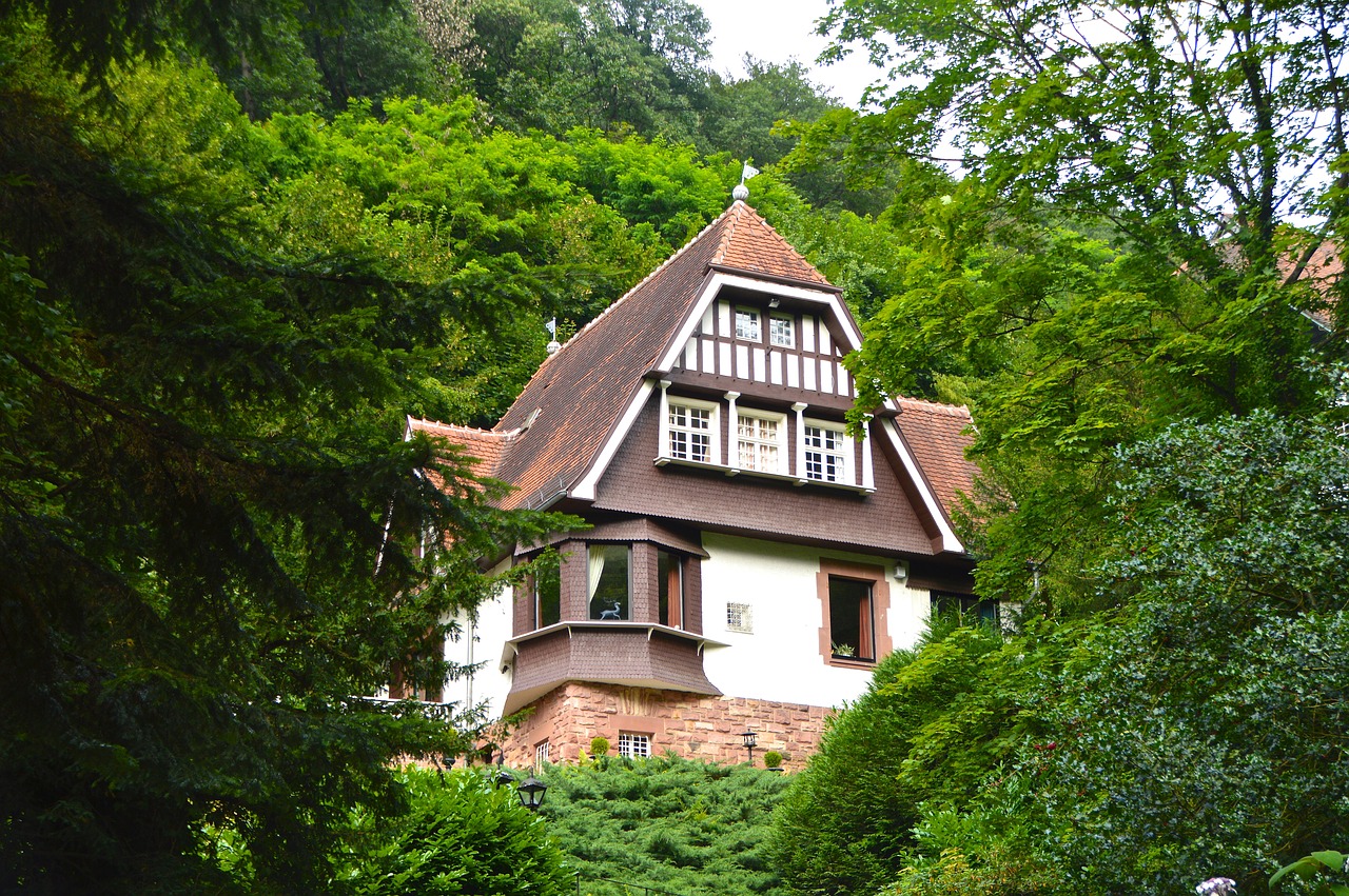 house in the green forest home free photo