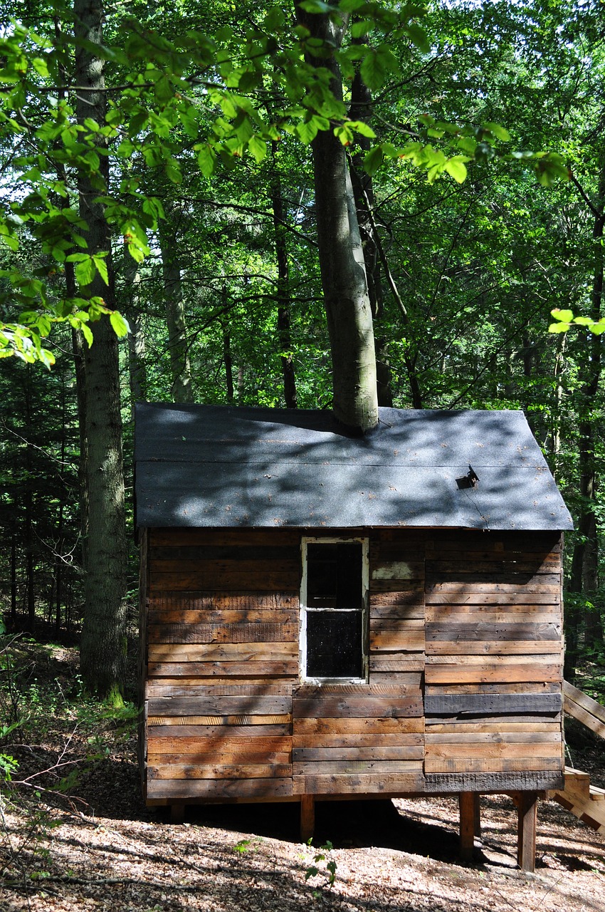 wood foresr hut free photo