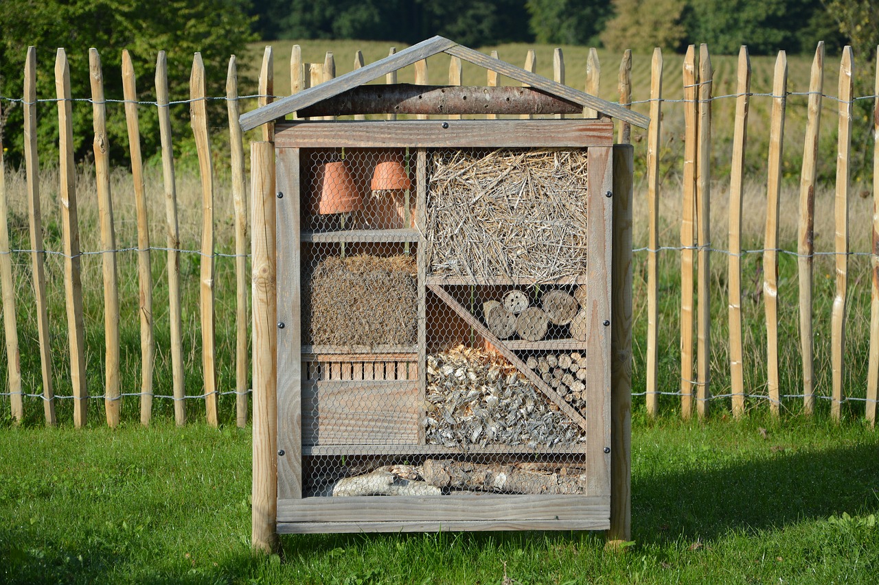 house insects hotel insects insects nest box free photo