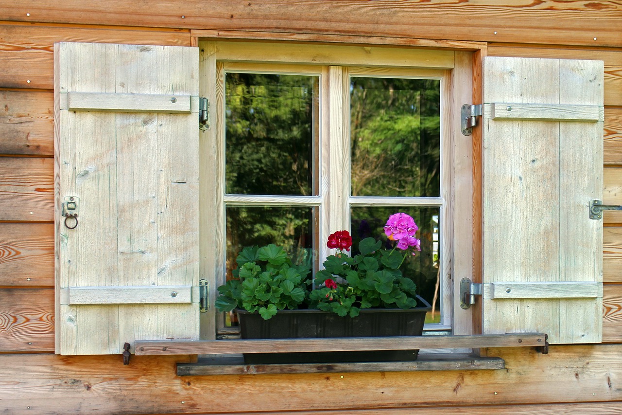 house jewelry flower box window flower free photo