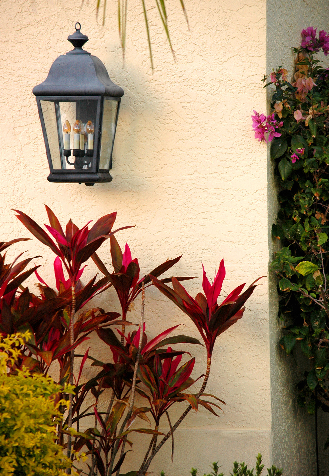 house light lamp tropical free photo