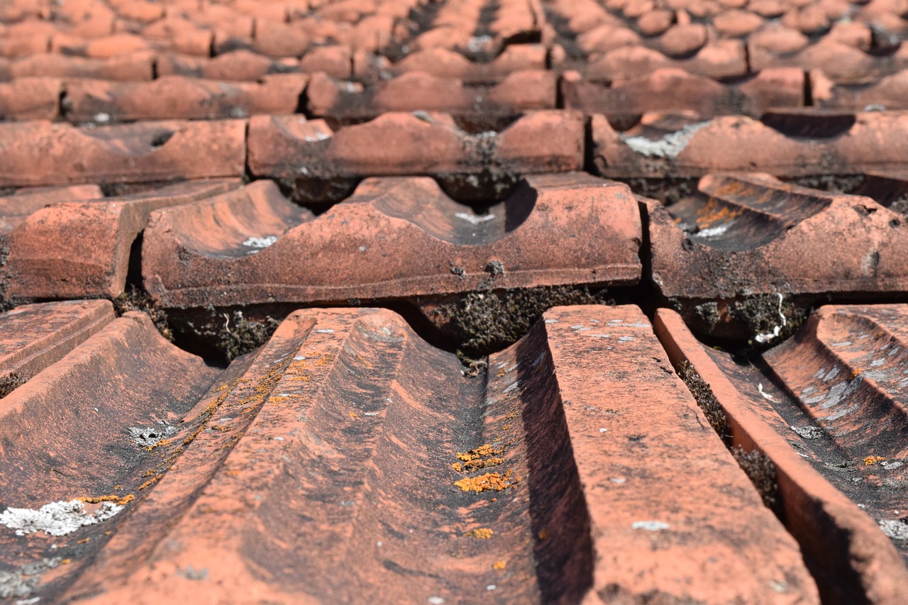 house roof weathered tile free photo