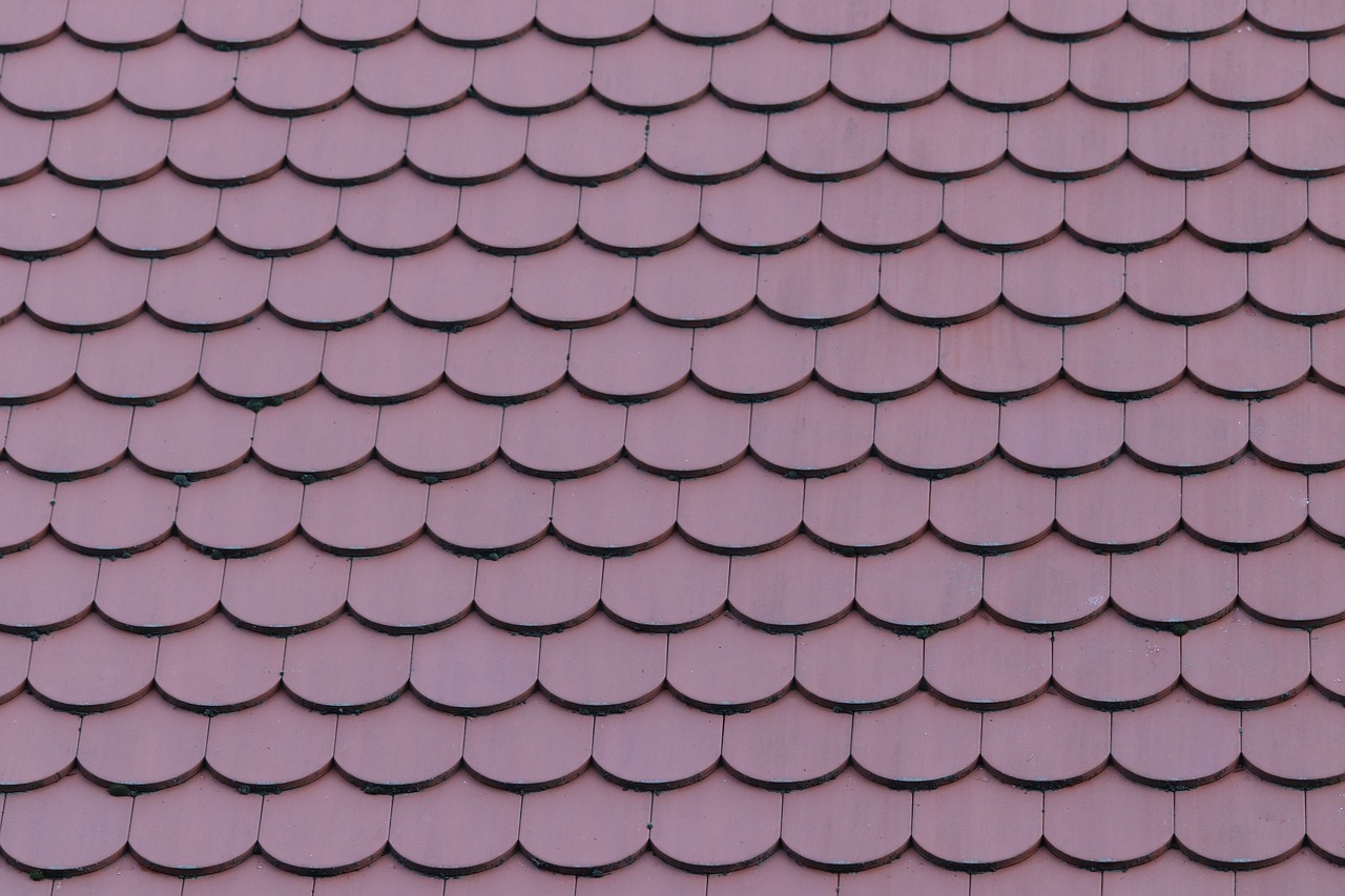 house roof  tile  red free photo