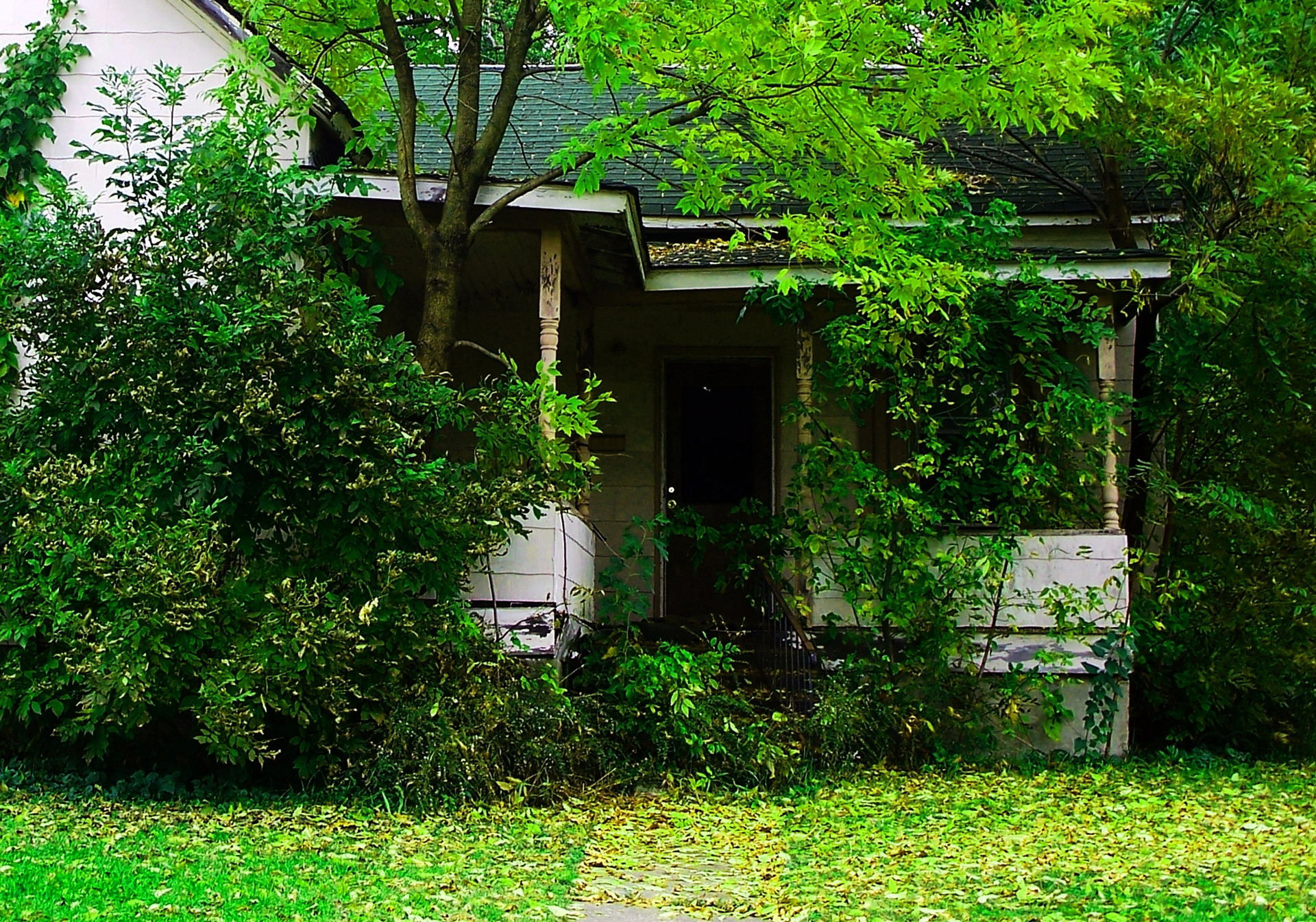 old house trees free photo