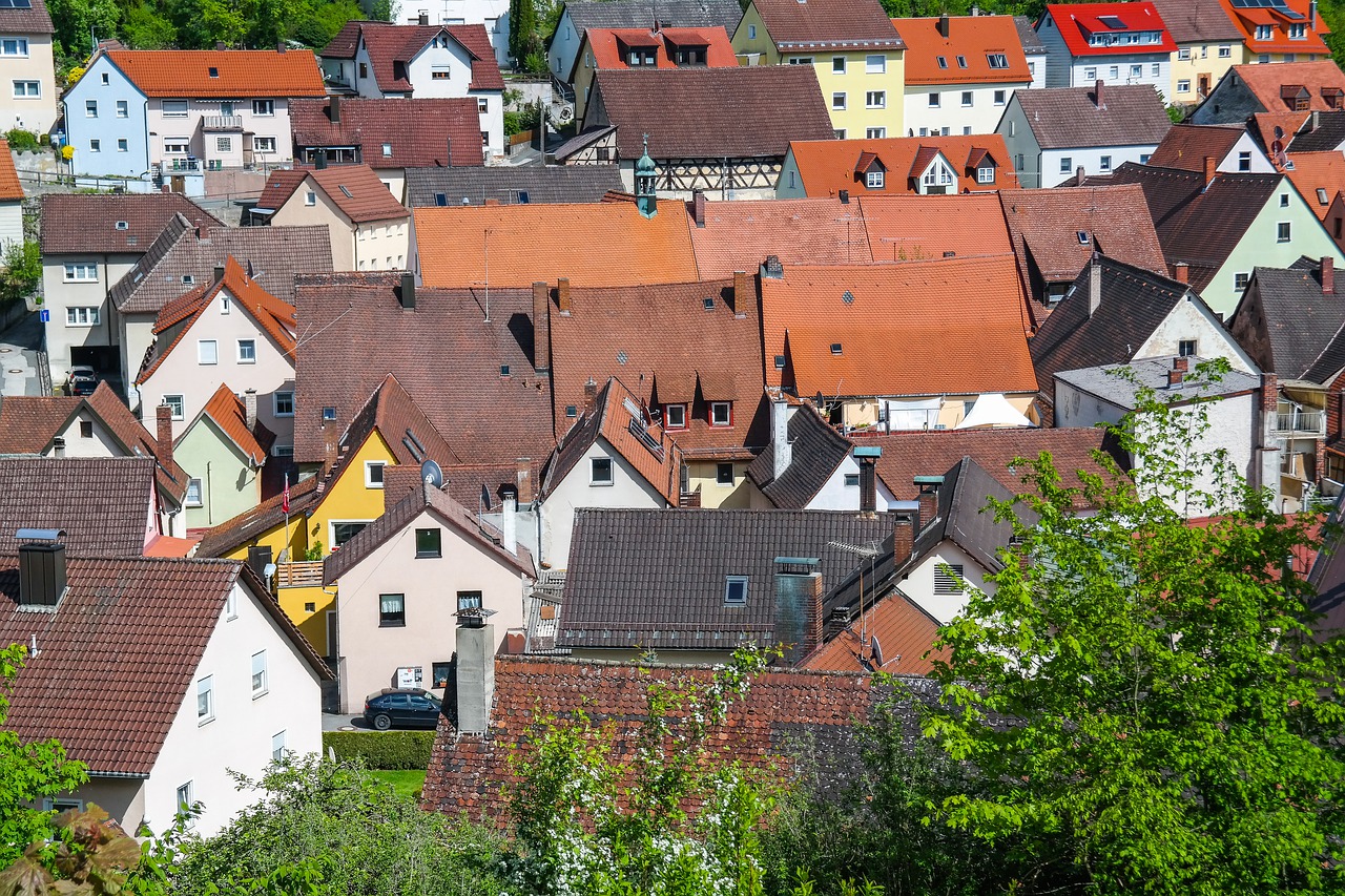 houses  roofs  city free photo