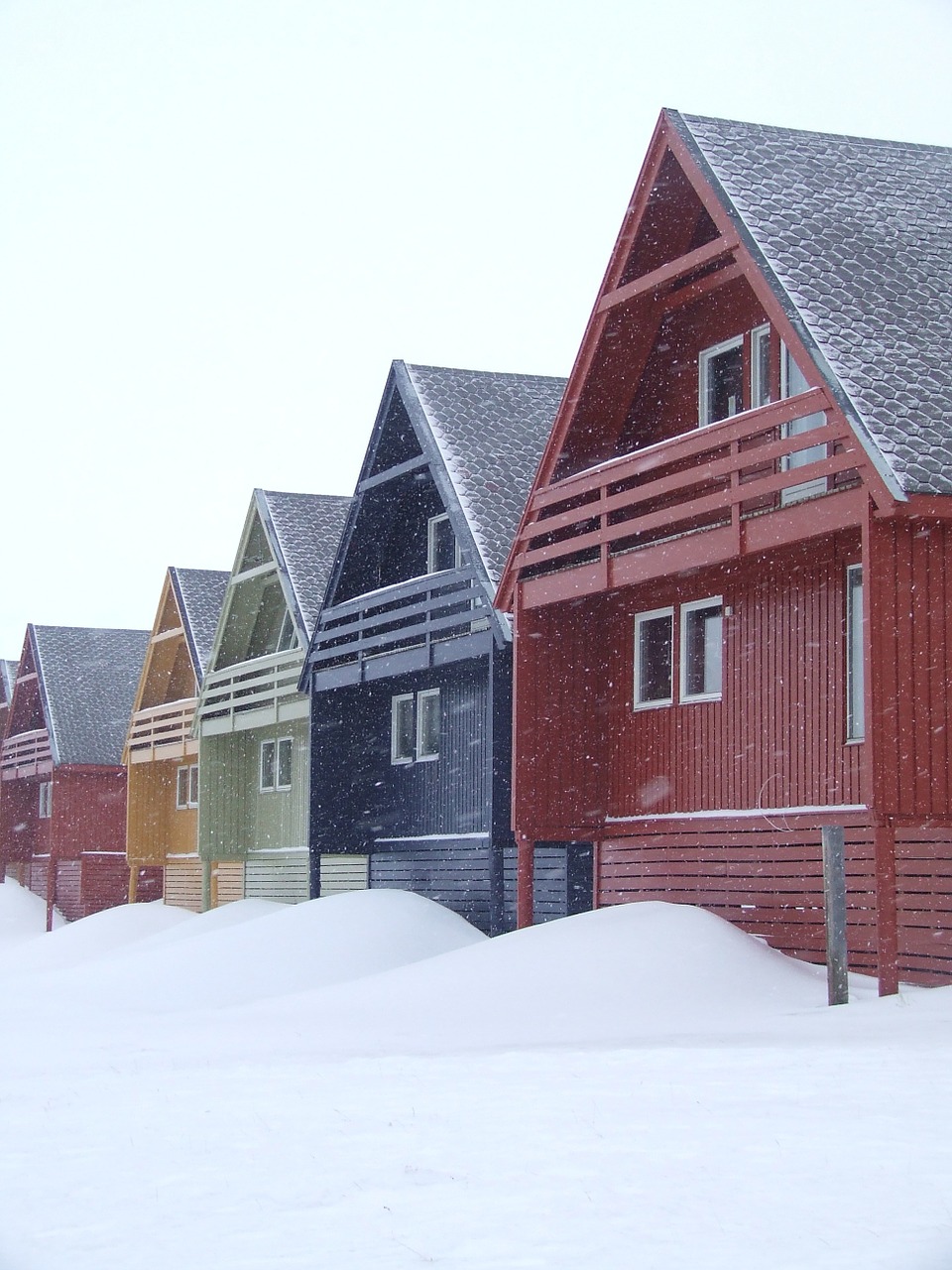 houses colors norway free photo