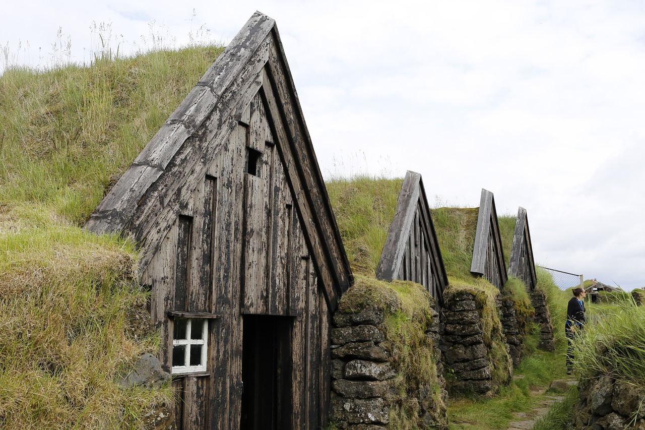 houses grass iceland free photo