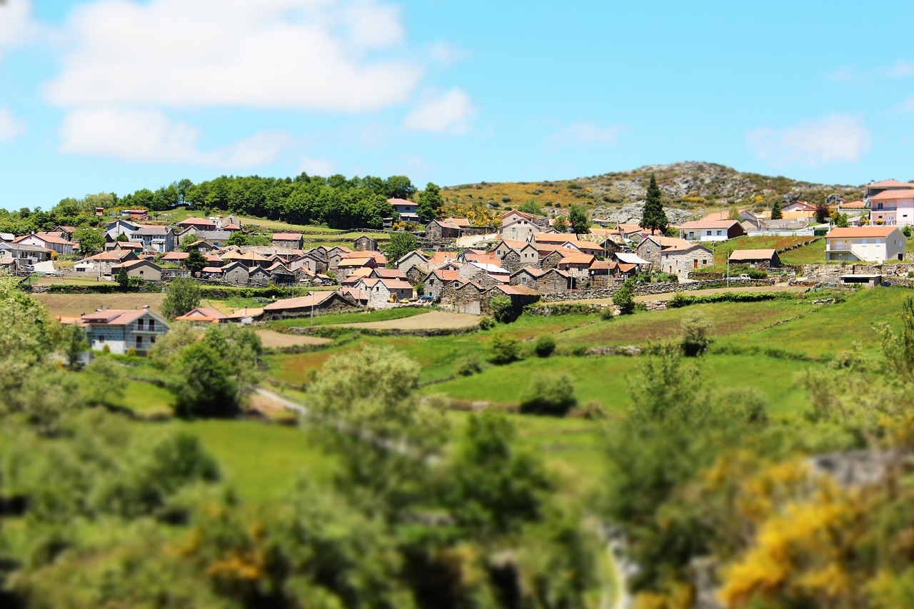 houses land green free photo