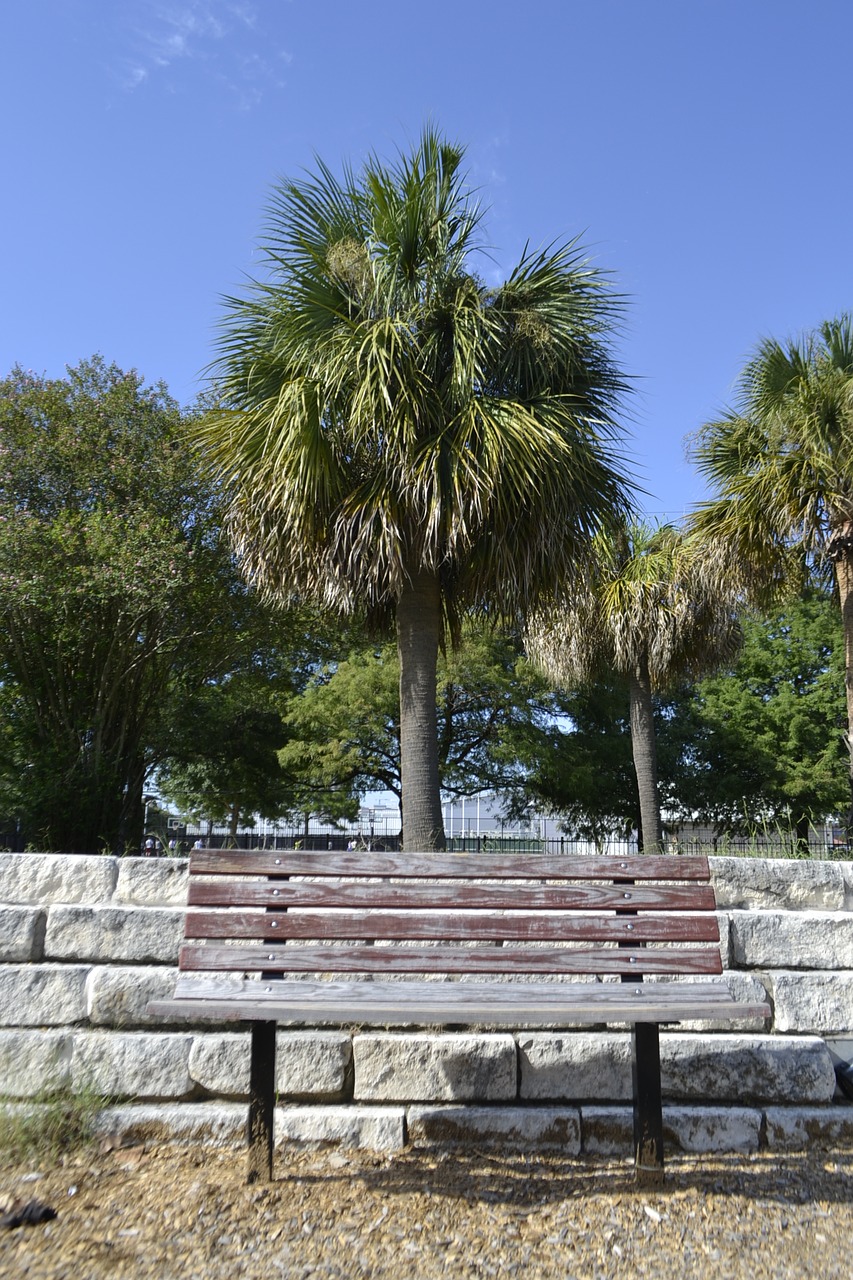 houston texas playground bench park bench bench free photo