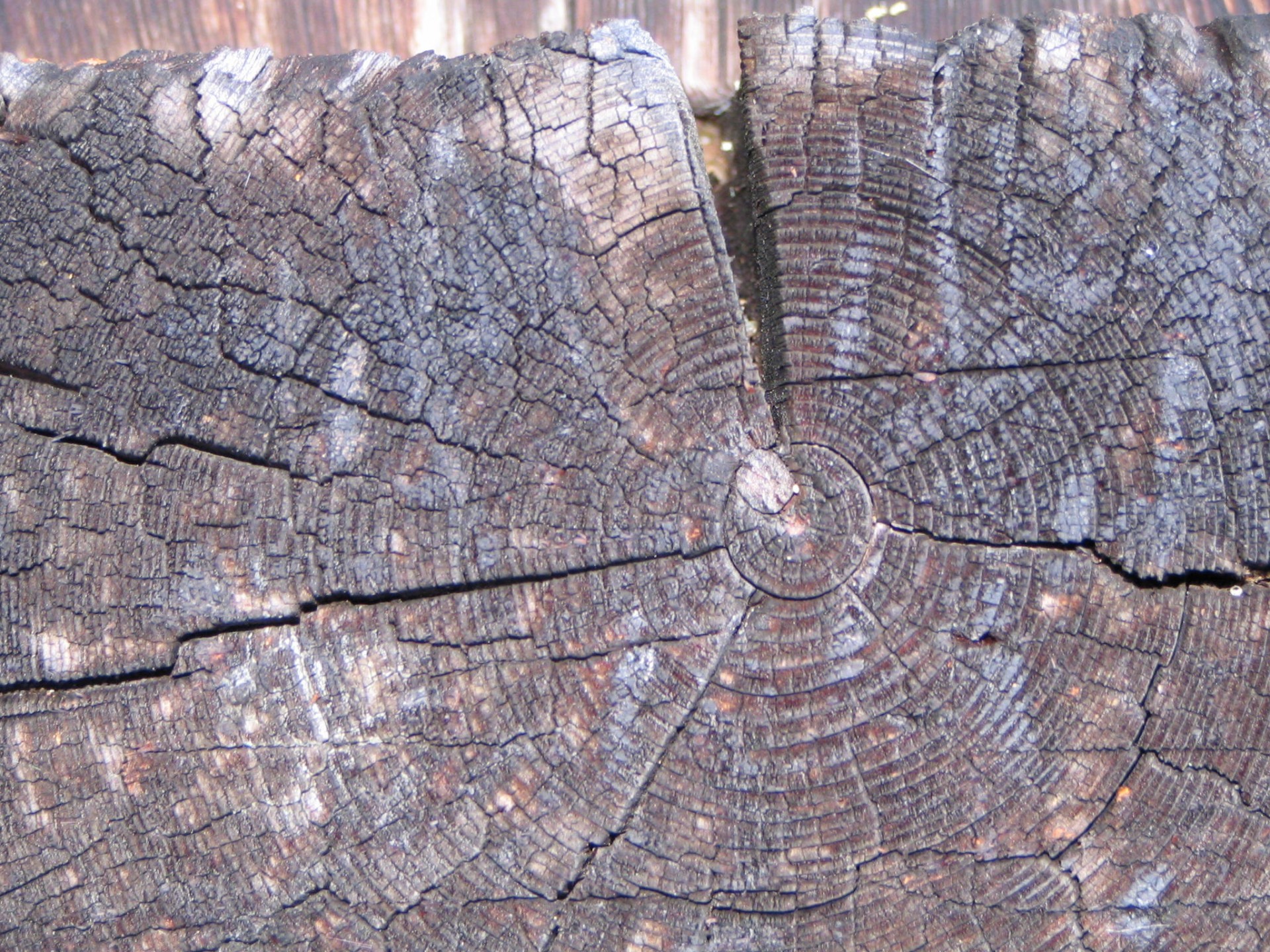 wood background texture free photo