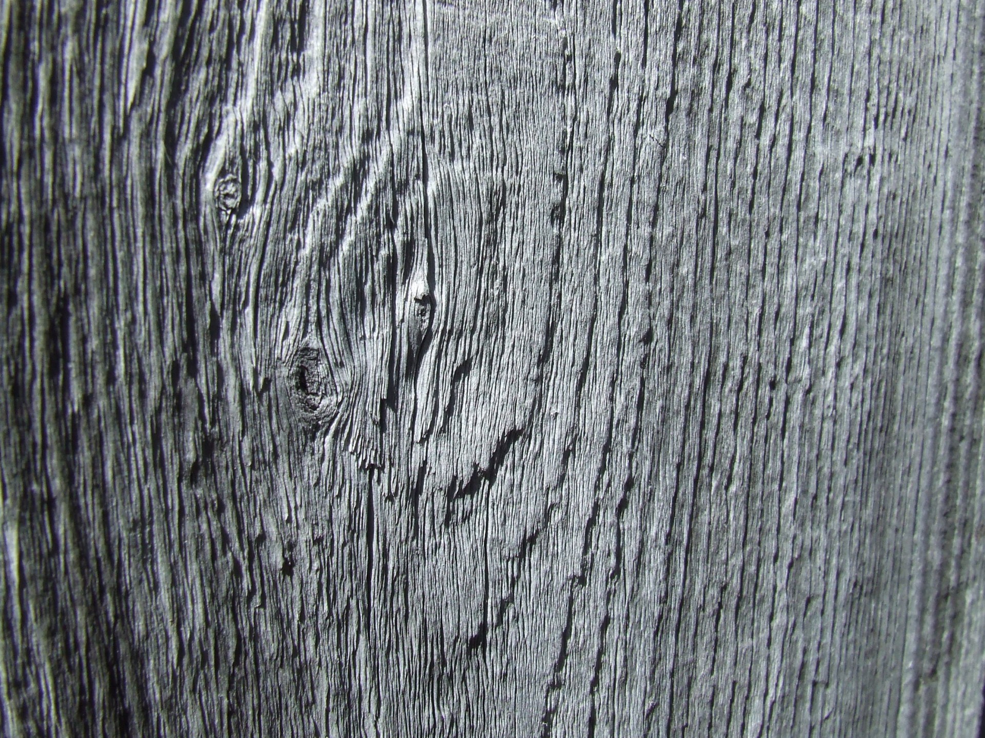 wood background texture free photo