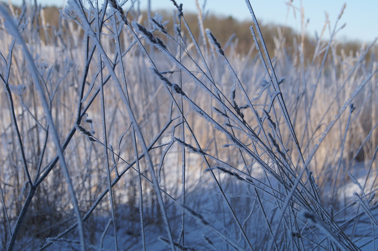 hovdala winter winter magic free photo