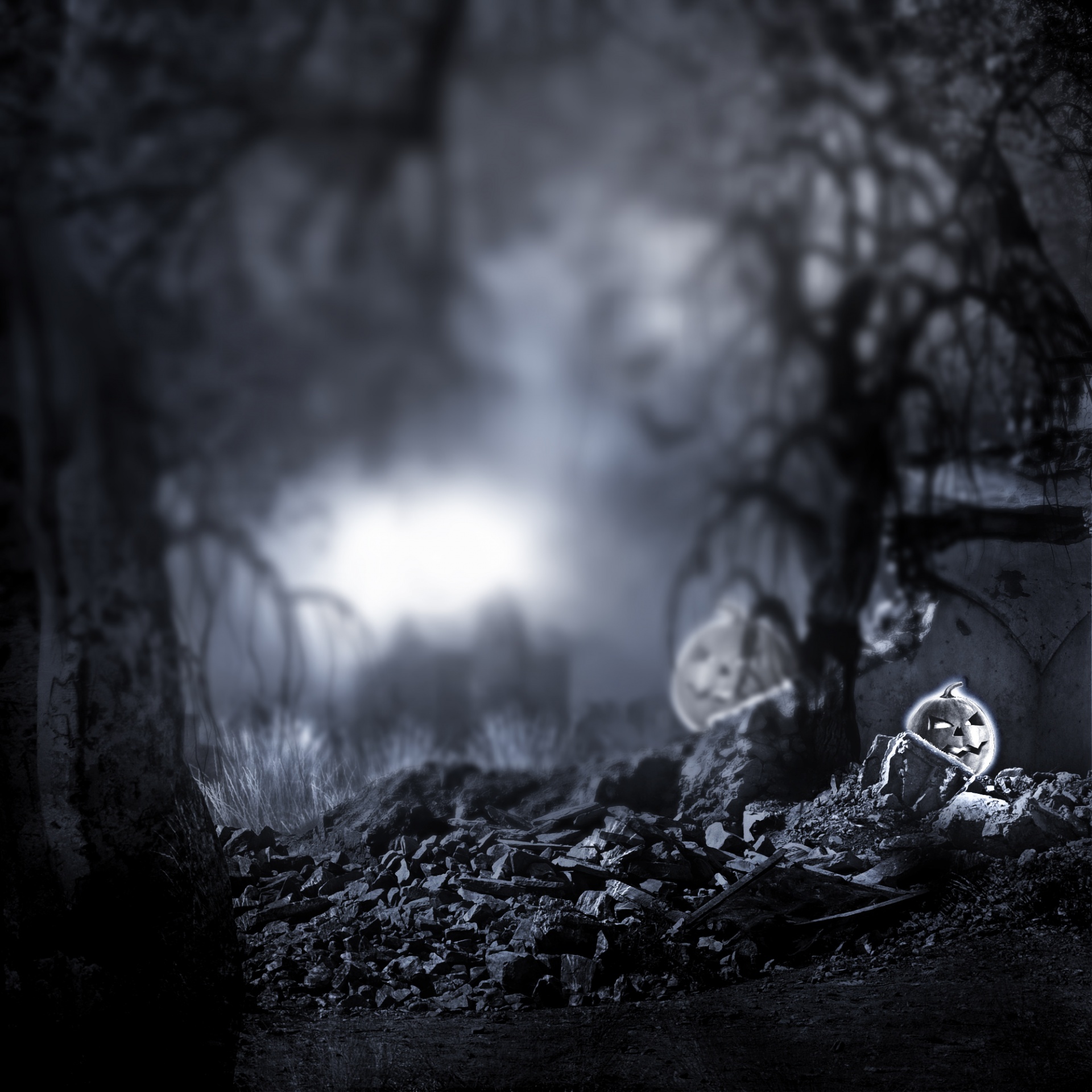dark night spooky free photo