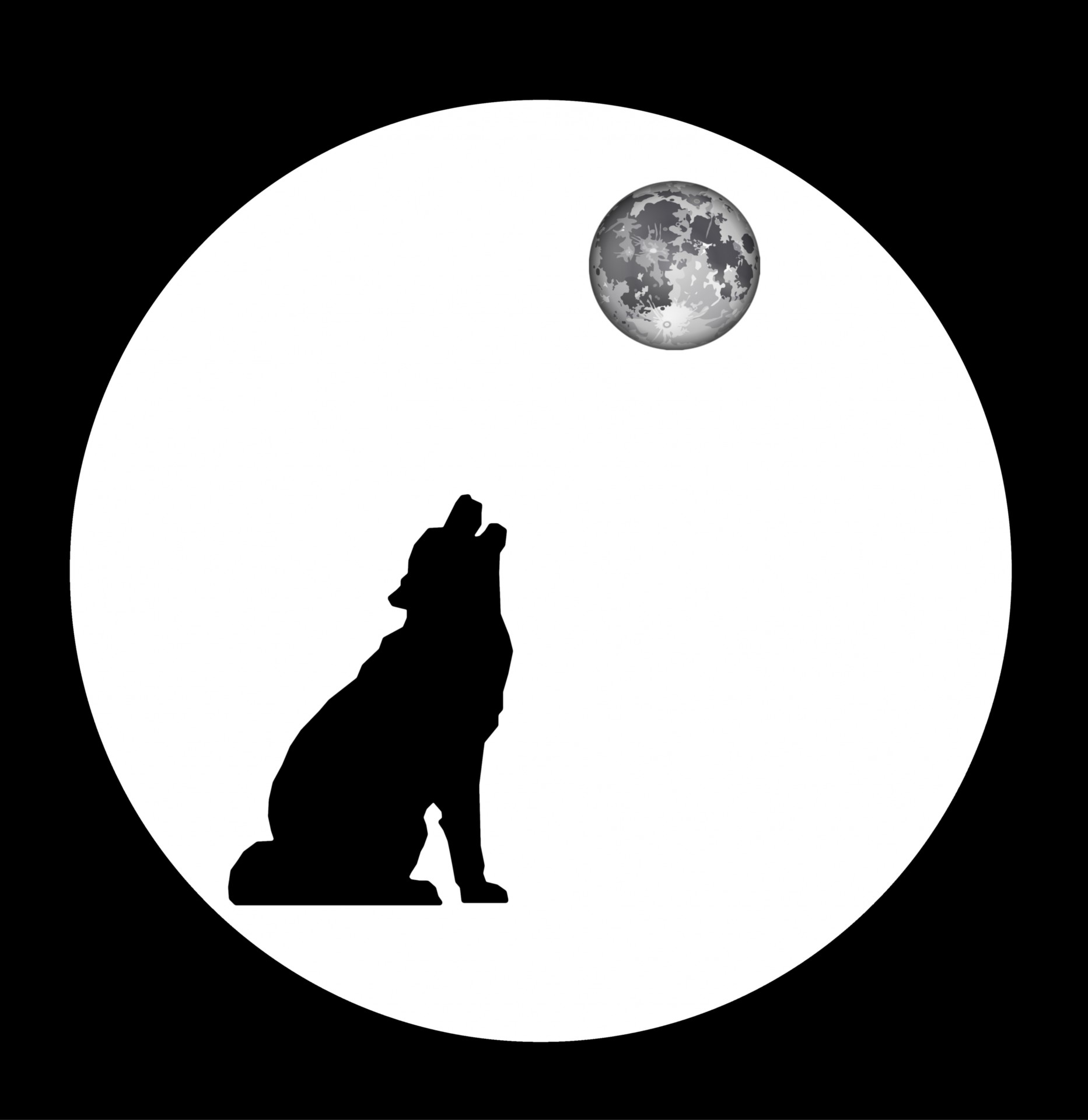 silhouette black wolf free photo