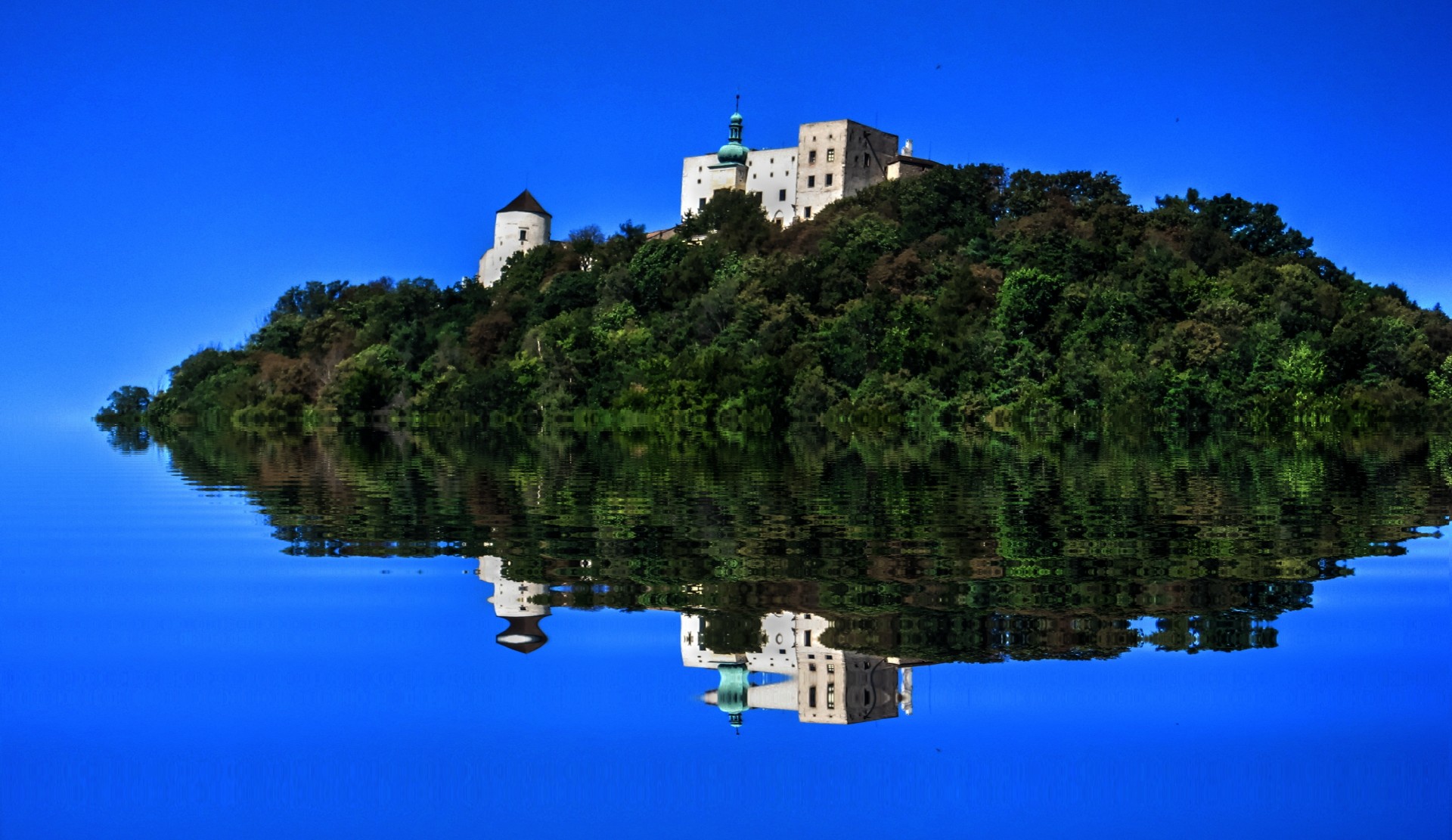 nature castle forest free photo