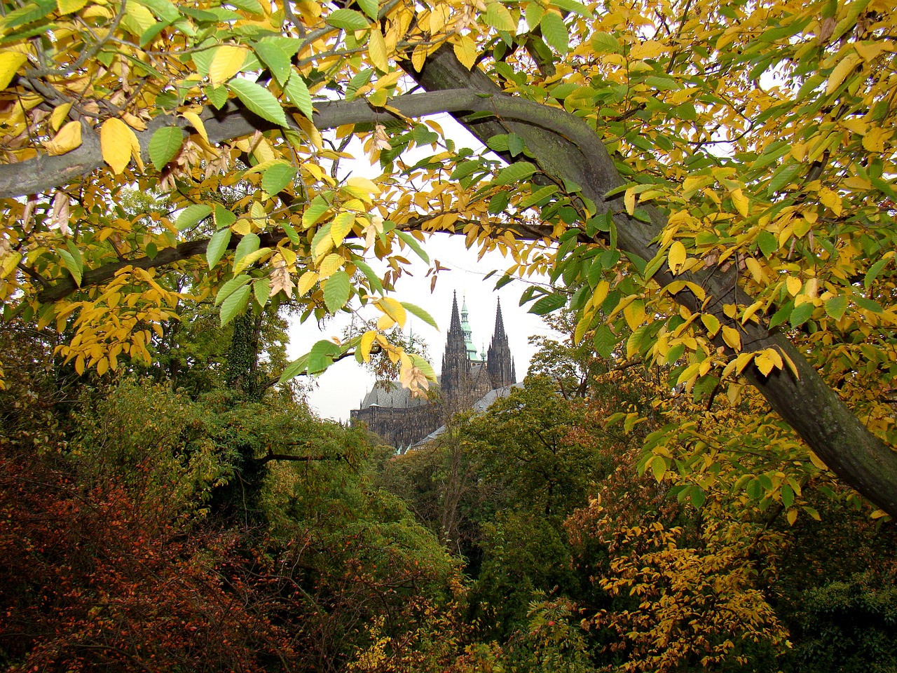 hradčany prague castle free photo