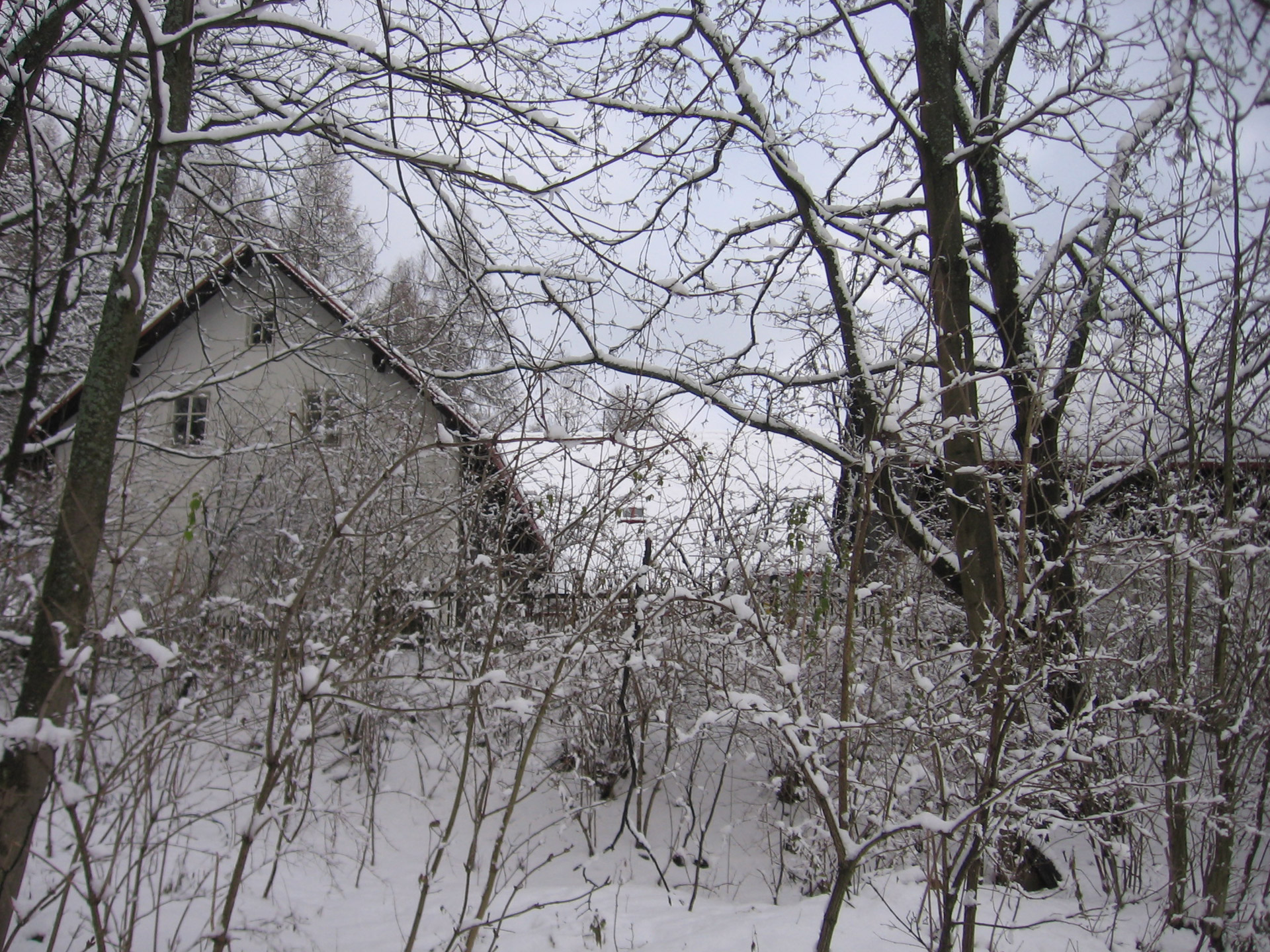 castle winter castle v. havel free photo