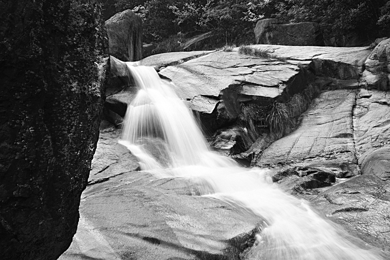 huangshan the scenery mountain free photo