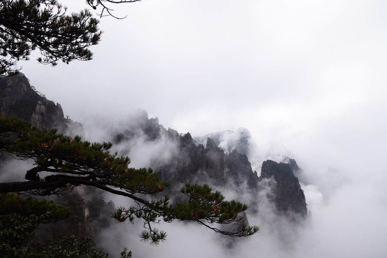 huangshan pine tree chinese painting free photo