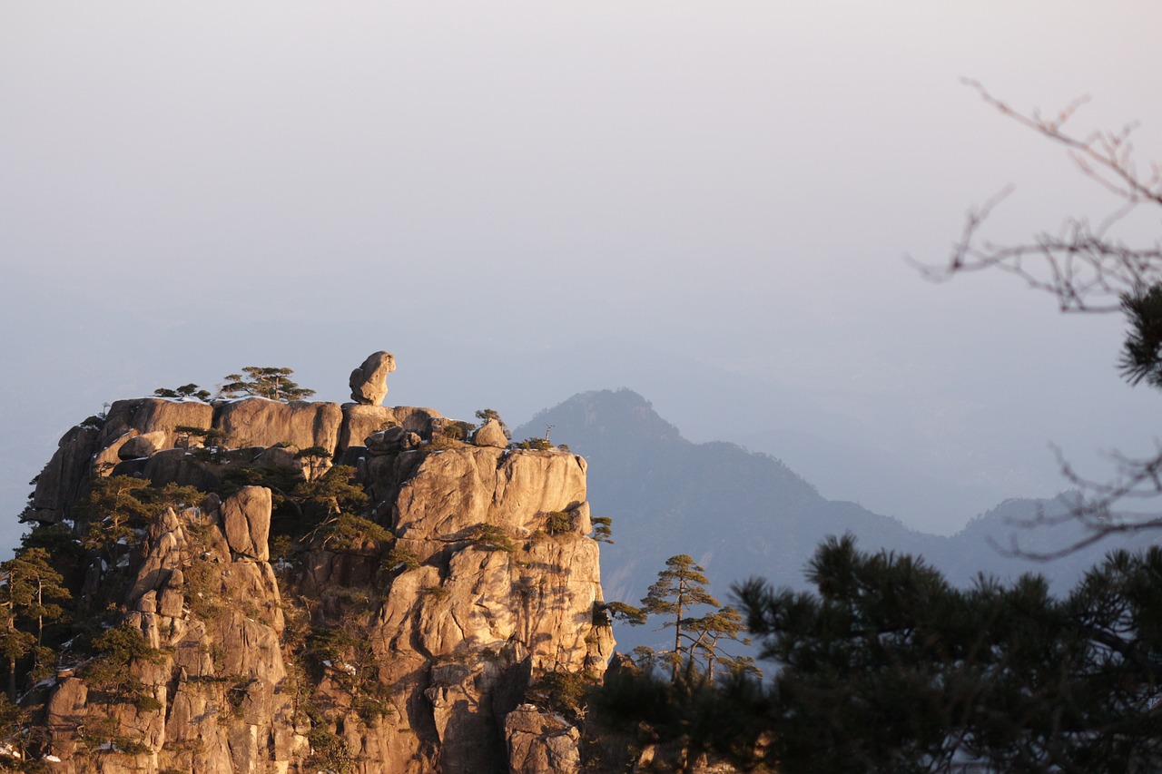 huangshan monkey view of the sea nature free photo