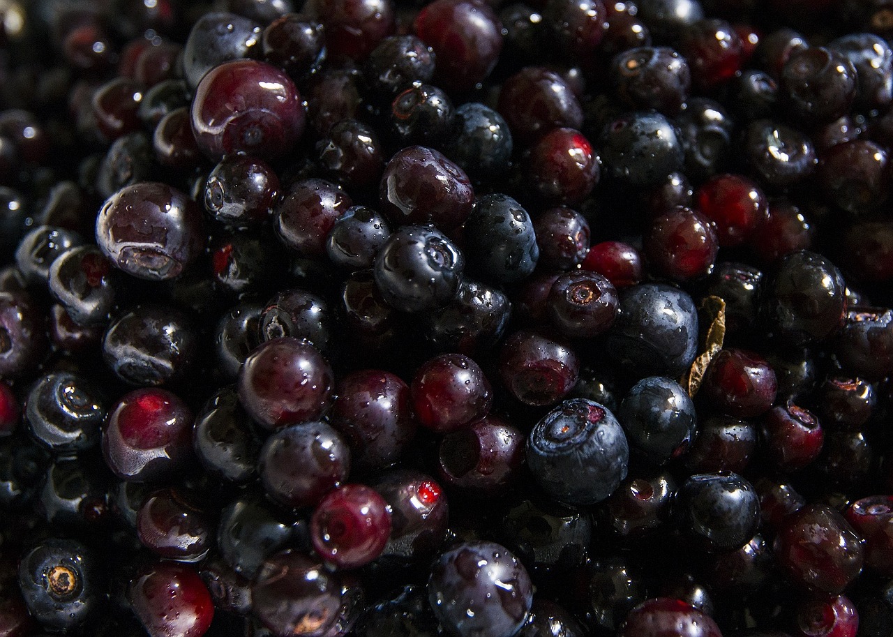 huckleberries fruit tasty free photo