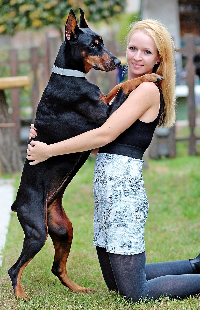 hug doberman blonde woman free photo