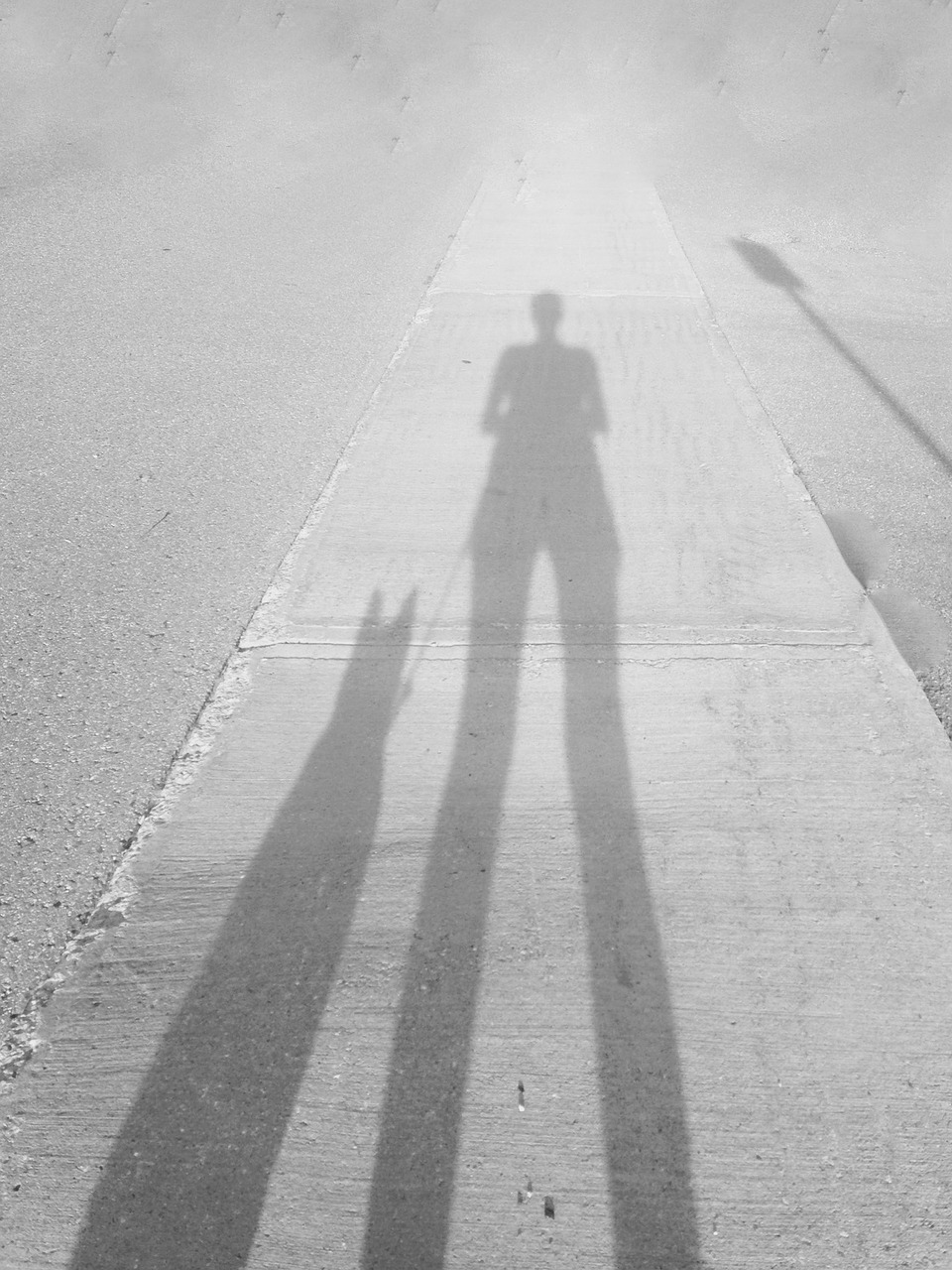 human dog sidewalk free photo