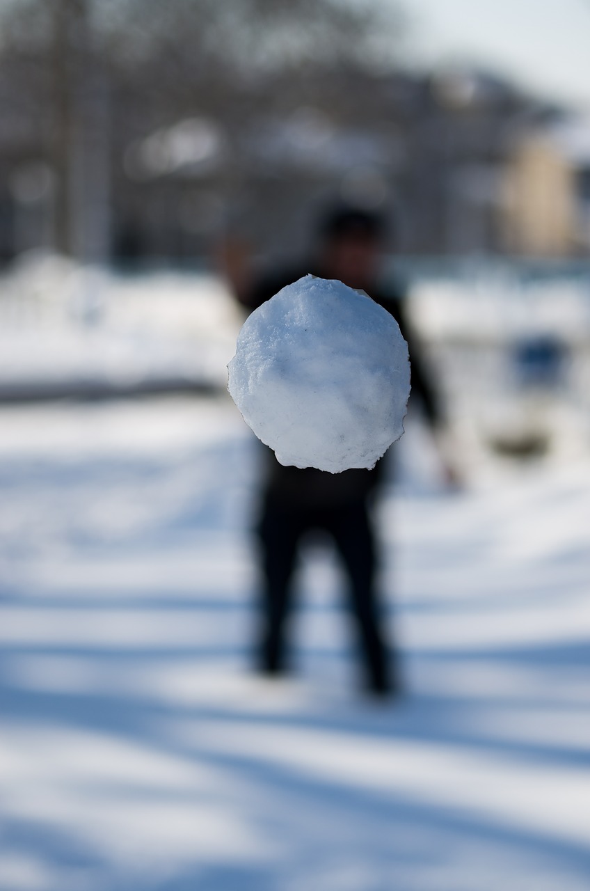 human snow excitement free photo