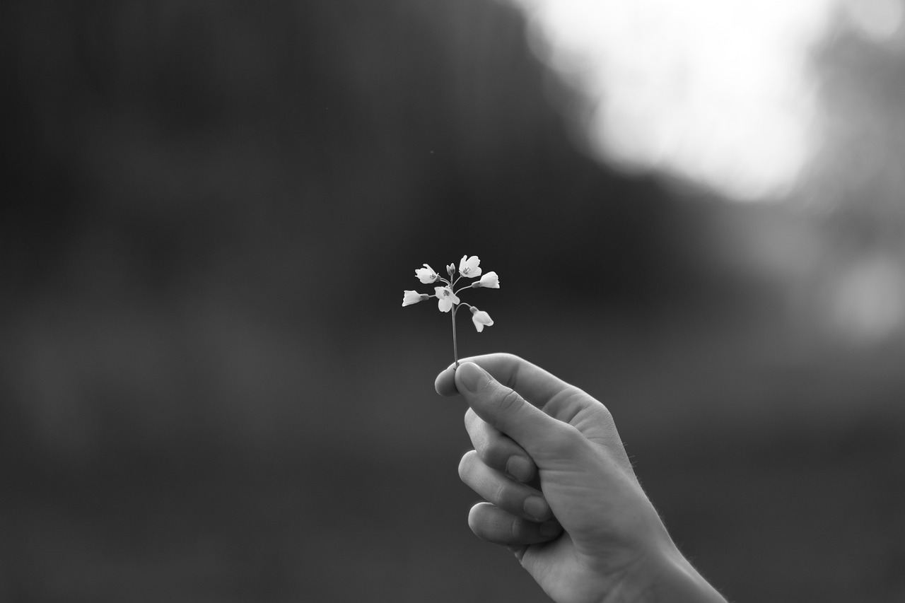 human  flower  black and white photography free photo