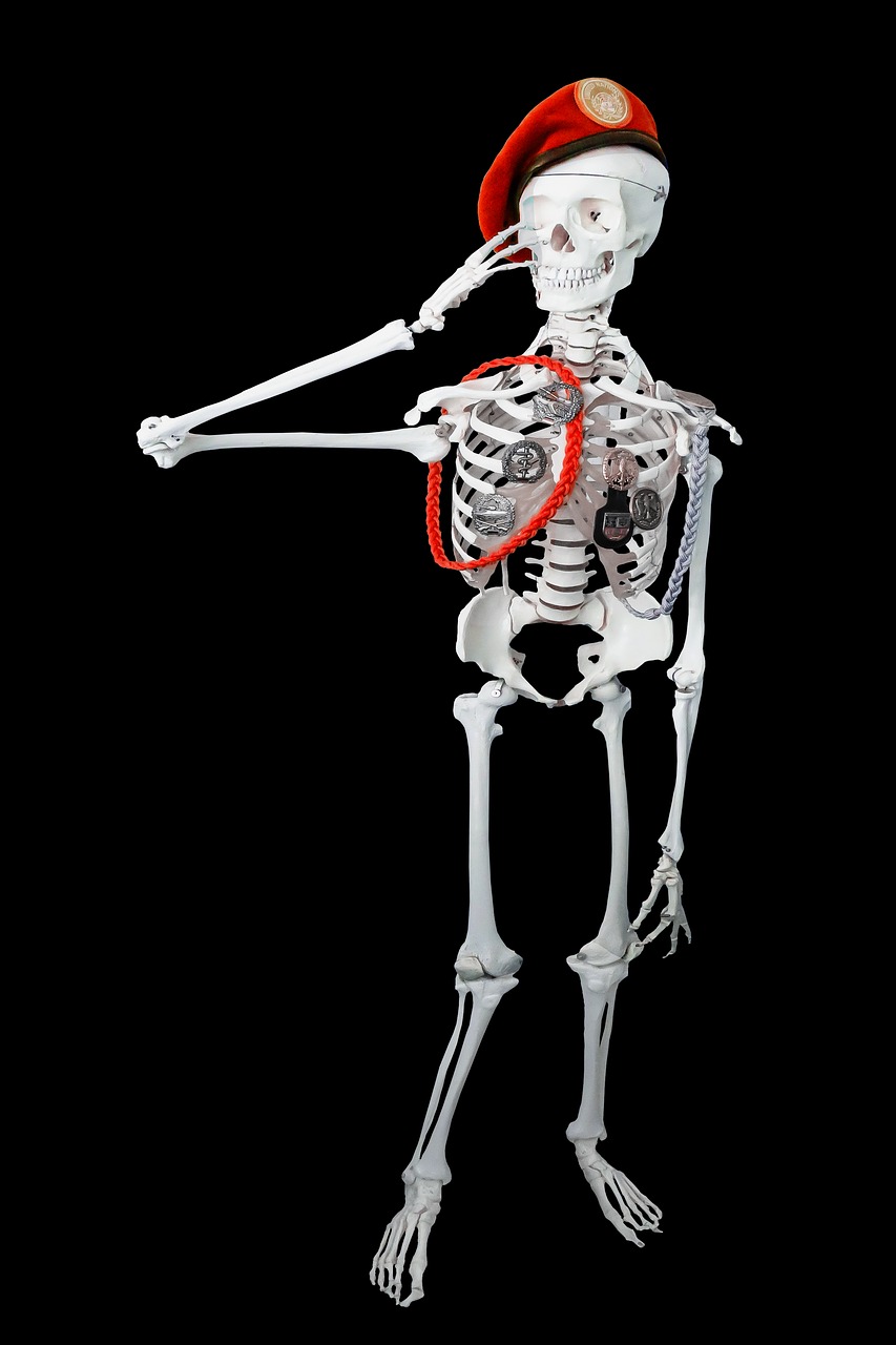 human  personal  skeleton free photo