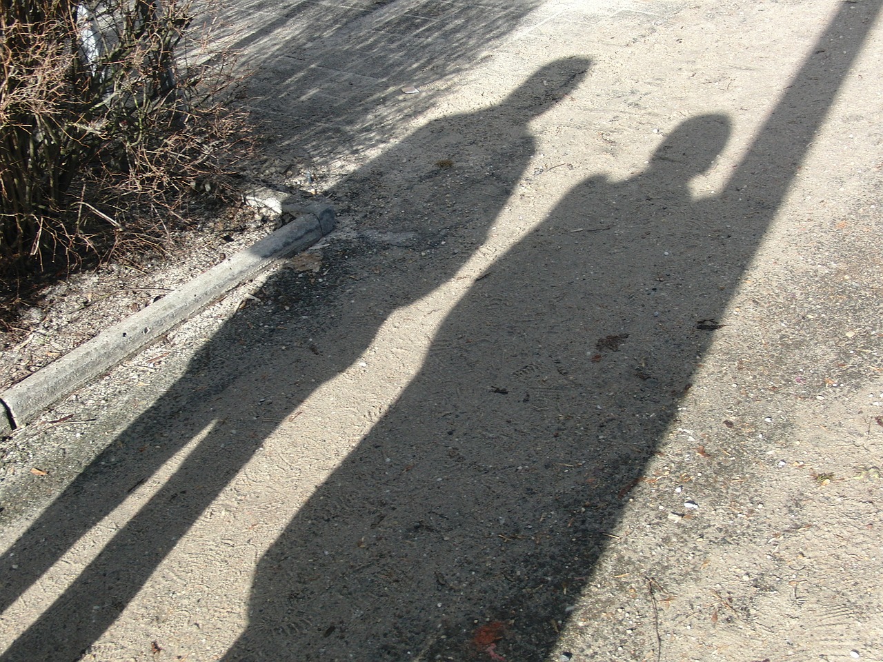 human shadow shadow play free photo