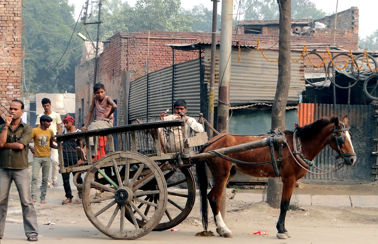 human horse drawn carriage india free photo