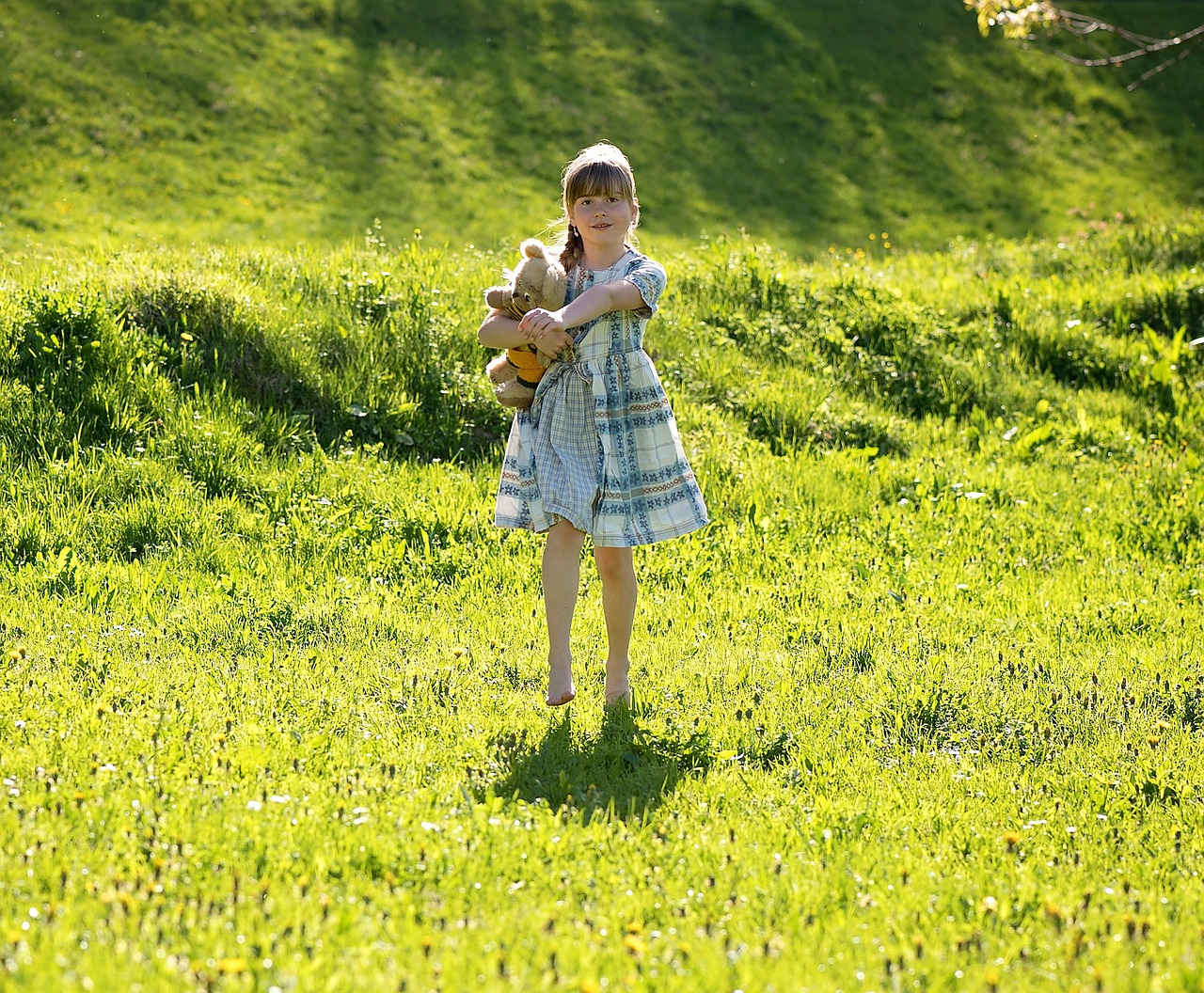 human child girl free photo