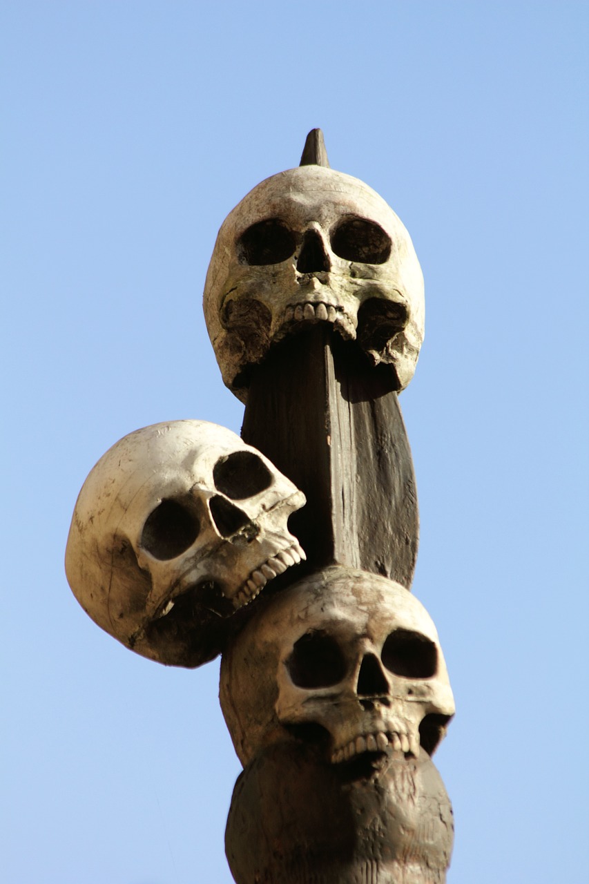 human skulls skeleton free photo
