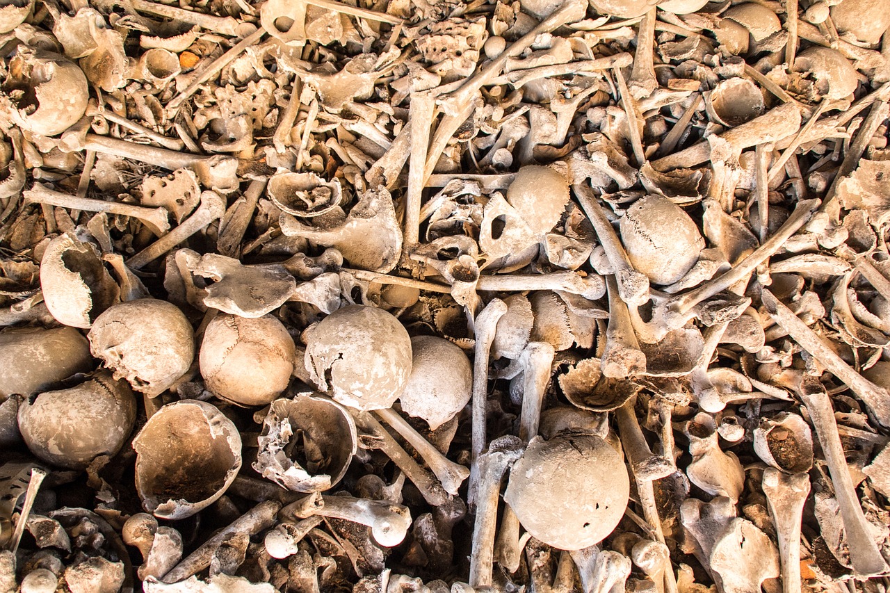 human bones world war death free photo