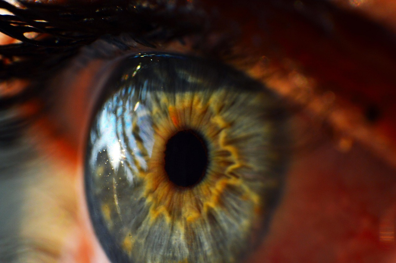 human eye iris macro free photo