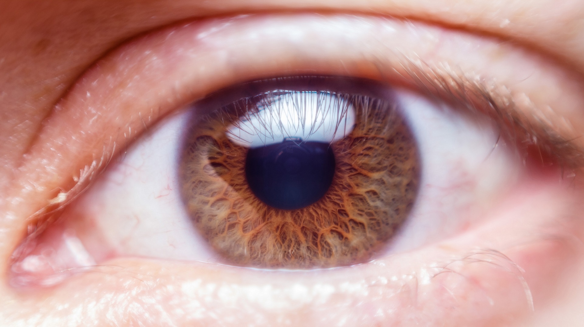 human eye iris macro free photo