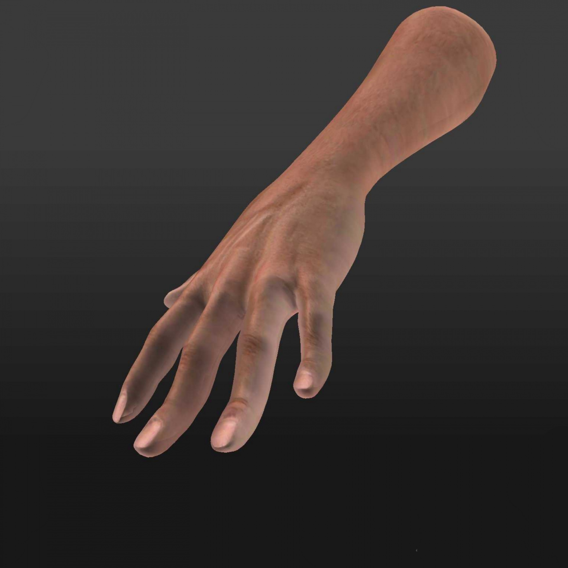 Человеческая рука