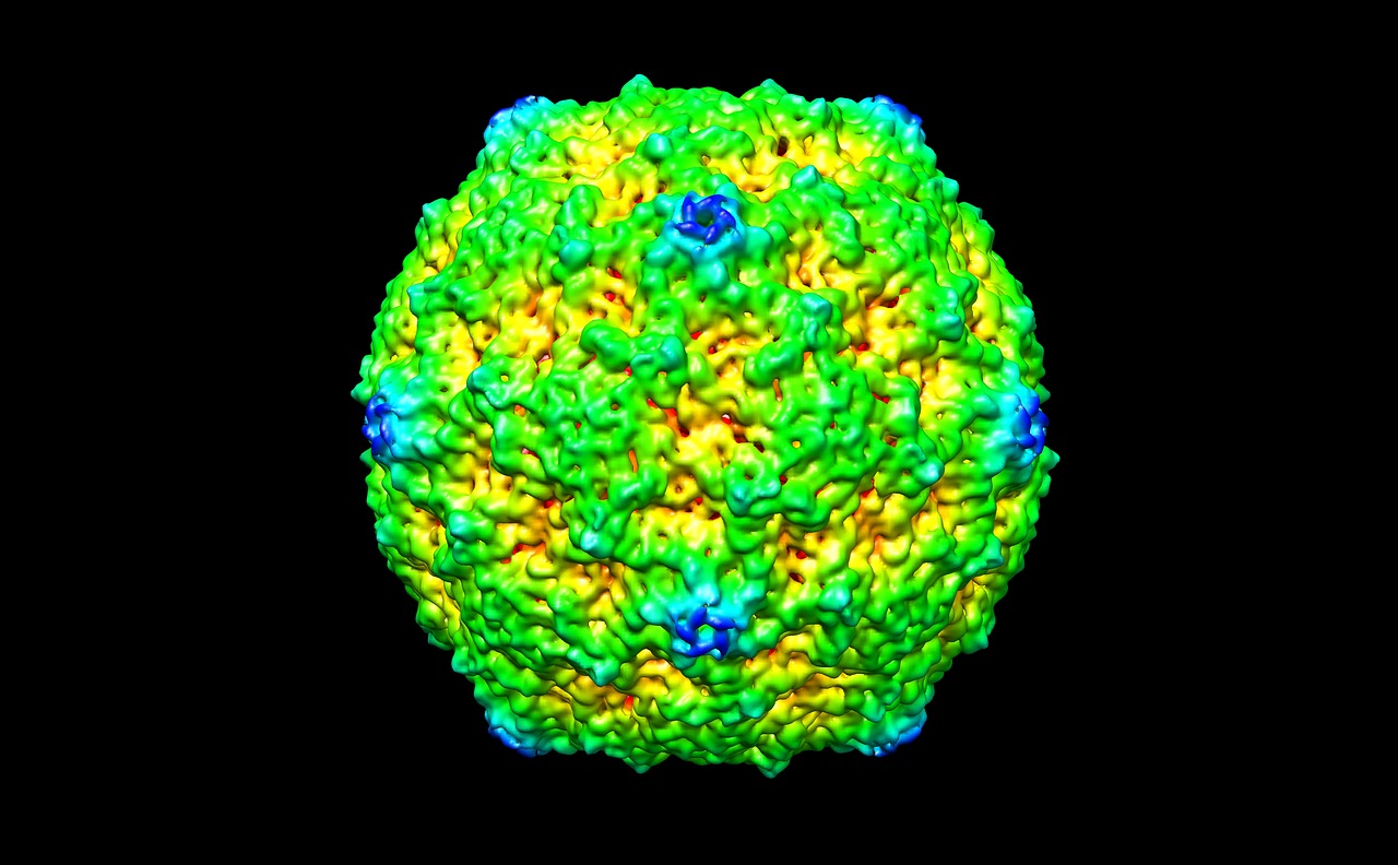 human picornavirus b3 virus human free photo